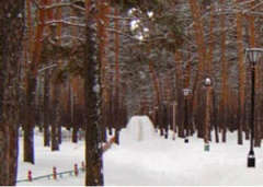 (С) sv-omsk.ru