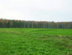 Доли найти и посчитать