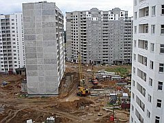 (с) vrnnews.ru