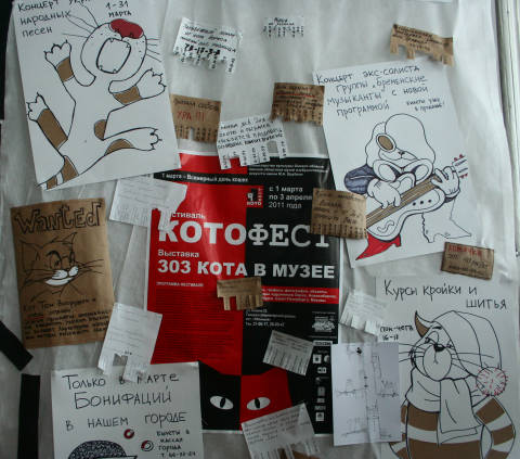 Котофест в Омске
