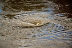 Происшествия на воде в Омской области Происшествия на воде в Омской области