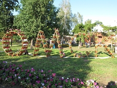 Флора в Омске